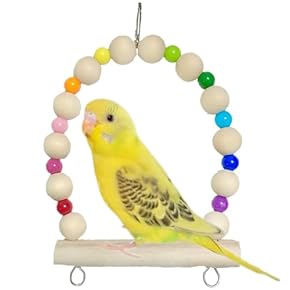 鳥用品　ブランコ　インコ　小鳥　色が選べるハート　お買い得 鳥用品 ブランコ インコ 小鳥 色が選べるハート お買い得 - おもちゃ